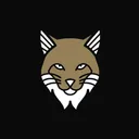 Lynx ONE