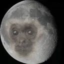 AVØ’S OLYMPUS