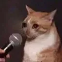cd likes talking