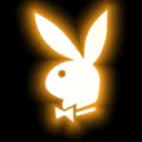 Macho Rabbits
