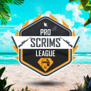 PRO SCRIMS LEAGUE (PSL) icon