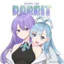 Down the Rabbit Hole