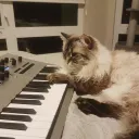 YYC Synthposting