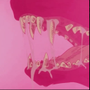 »Kiko!« Discord server icon