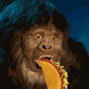 Taco's Taco Bar