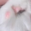 Newりな助の部屋
