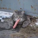 TheFunnyUnfunny