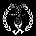 Discovery icon for Vegvisir Discord server