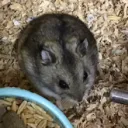 地縛霊のたまり場