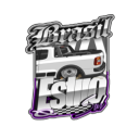 Discovery icon for Brasil Estilo Sul Discord server