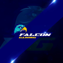 FALCON CUSTOM icon
