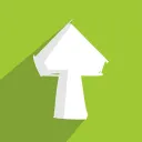 FUNGI studio