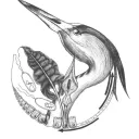 FS Biologie Uni Bonn