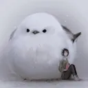 うるのサーバー