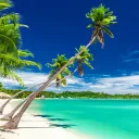 Porn Paradise 18+'s icon