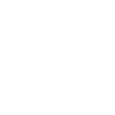 The Flerver!