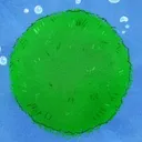 Marimo's Terrarium