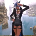 Sphinx's Playpin