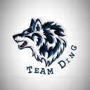 Team DING icon