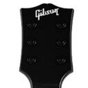 Plastic Guitar Modding Central! Discord Server Icon