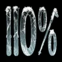 110%SKI