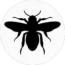 Bee's Knees Games
