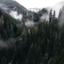 🌲 Overcast Ridge