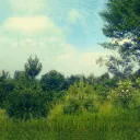Earthing & Grounding Community