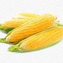 Corn Clash