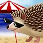 Hedgehog_Hangout