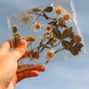Wild Flowers Server Icon