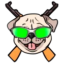 🚀🐕VITINHO_ZR1- twitch.tv/vitinho_zr1