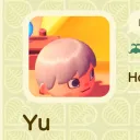 animal crossing insurance fraud party