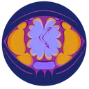 WaSt Discord