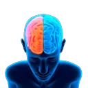 Interlink Hackbase