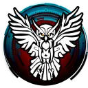Owl-CT