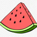 🍉Watermelon Society🍉