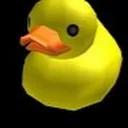 Duck Squad