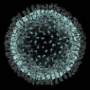 QUARANTINE's server Server Icon