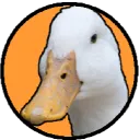 A Flock of Ducks