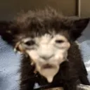 ugly