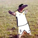Belligol Scrims Brazil
