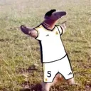 Belligol Scrims Brazil
