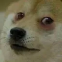 Dogelore Ban Appeal Server