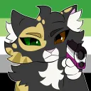 cats on a beach