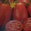 Permaculture