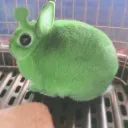 server.avi