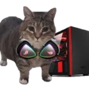 GAMING