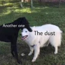 ItPhillsGood