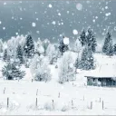 Snow Server
